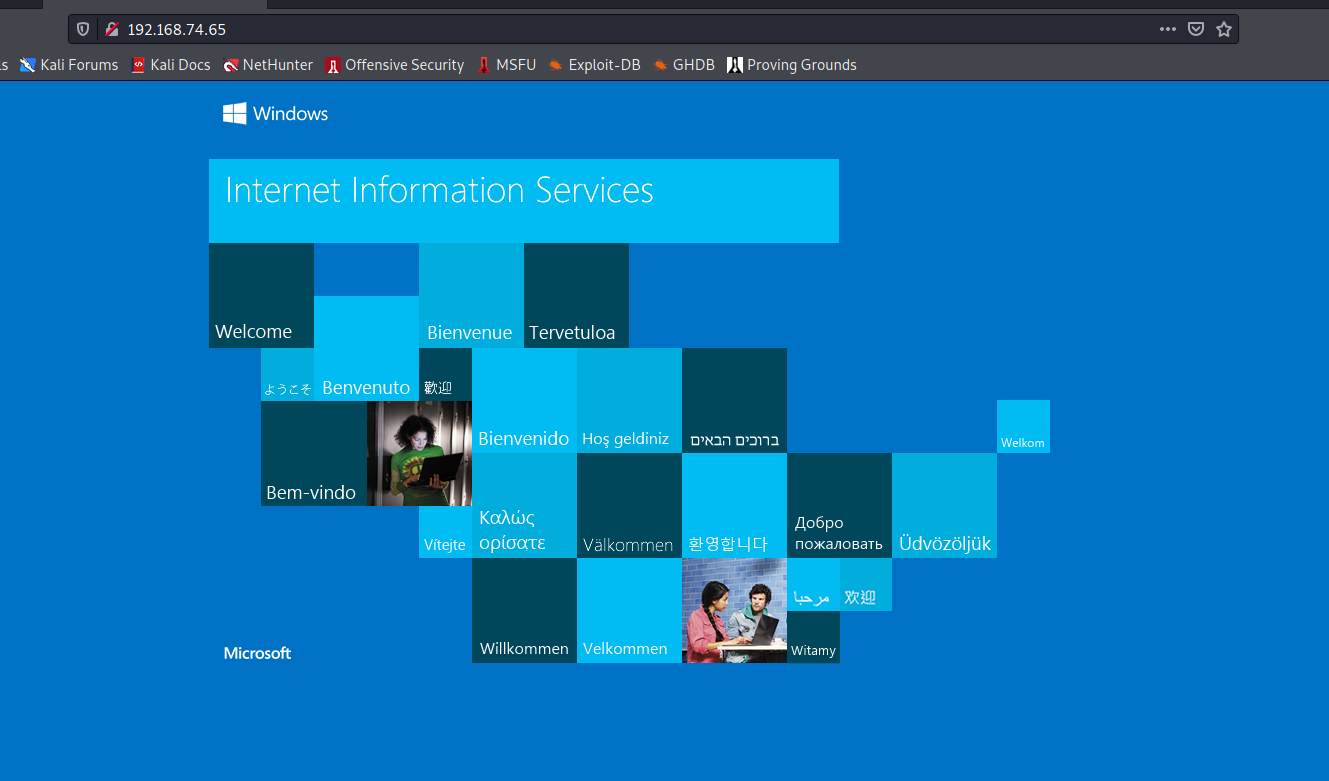 Default IIS Start Page on Port 80